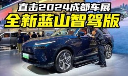 蓝山汽车最新车主爆料,揭秘全新车型背后的惊喜与挑战