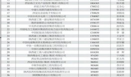 西安爆料企业排名最新,揭秘行业风云榜