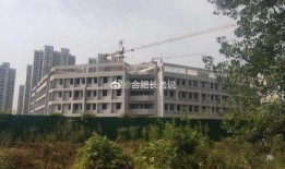 新河中学爆料新闻最新,揭秘校园背后的秘密